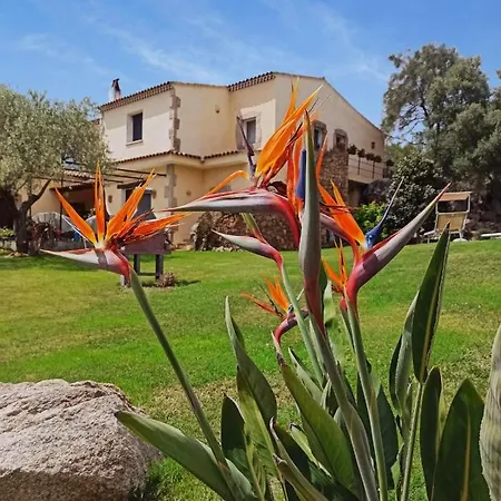 Aia Del Sole * Olbia