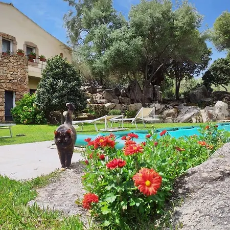 Aia Del Sole B&B 올비아