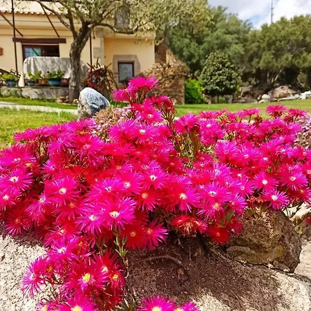 Aia Del Sole Bed & Breakfast Olbia