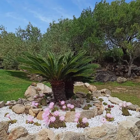 Aia Del Sole Bed & Breakfast