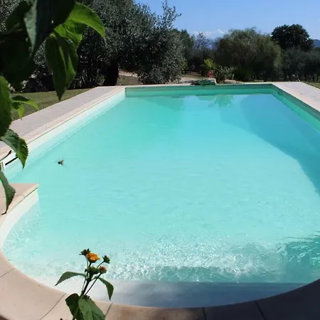 Aia Del Sole