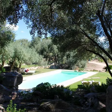 Aia Del Sole *